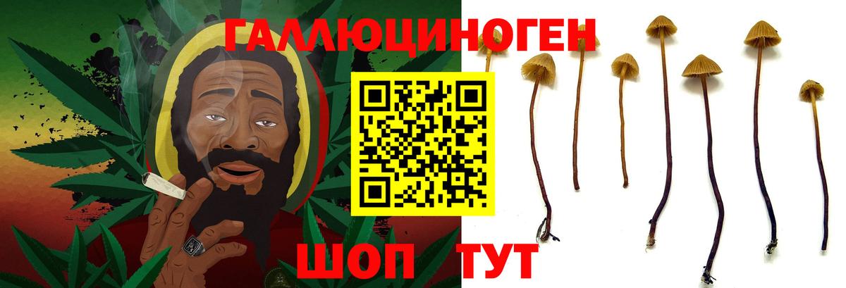 Галлюциногенные грибы Psilocybe  Вход с VPN  где купить наркотик  Всеволожск 
